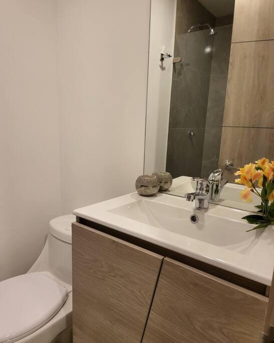 Centrico Loft Turistico Y Negocios Bogotá